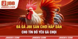 Đá Gà J88 – Sân Chơi Hấp Dẫn Cho Tín Đồ Yêu Gà Chọi