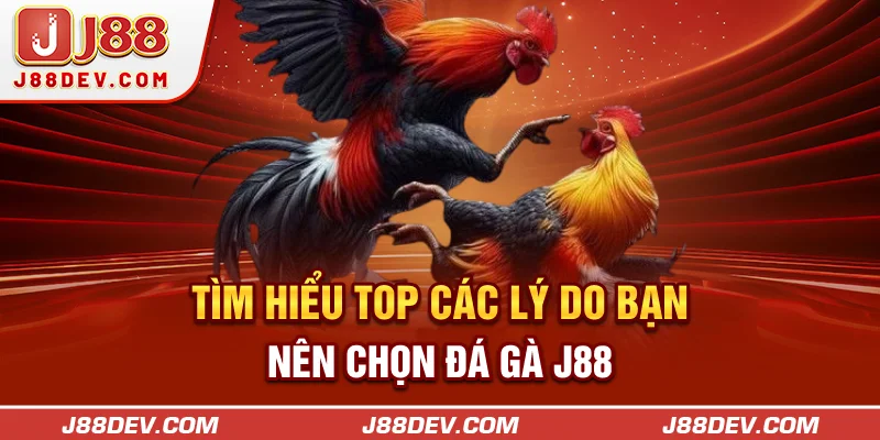 Tìm hiểu top các lý do bạn nên chọn đá gà J88